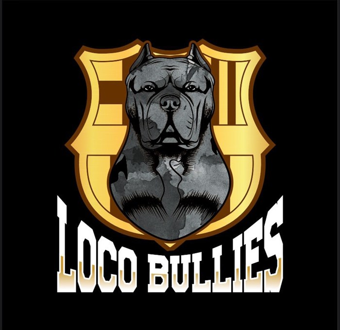 Loco Bullies TX logo — gold shield crest over an XL bully.