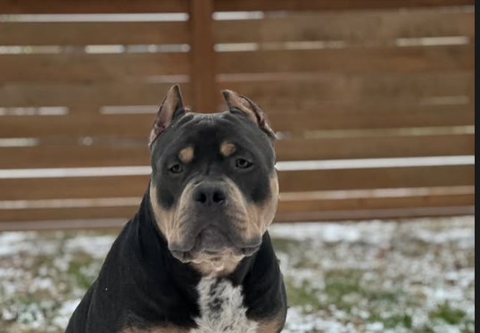 Pablo posed outdoors.